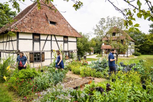 Visite guidée des jardins