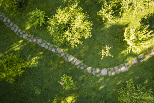 Autour de l'arbre