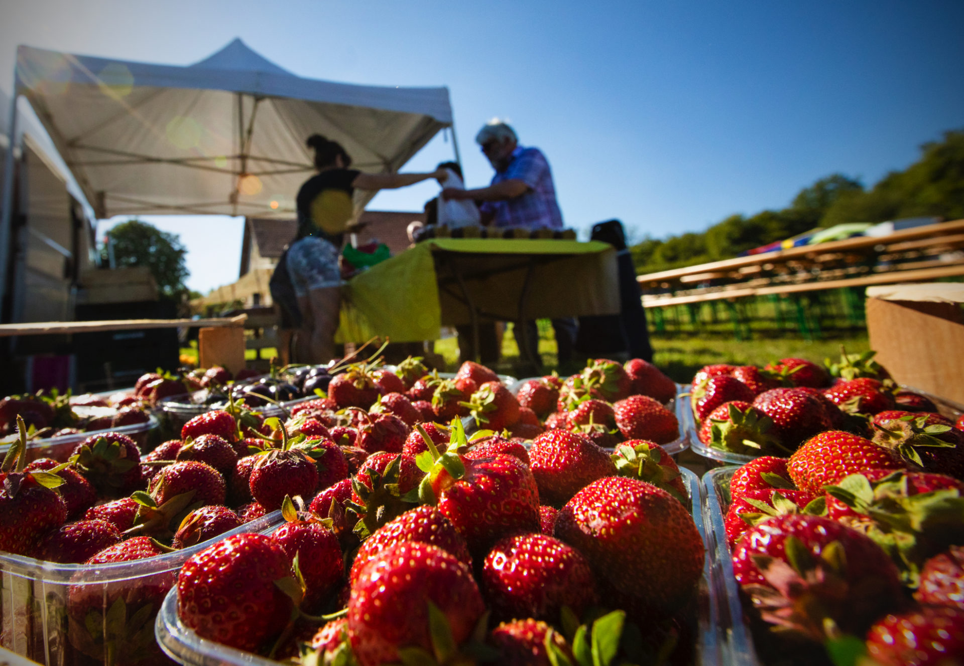 Marché de Gennes © Sophie Cousin