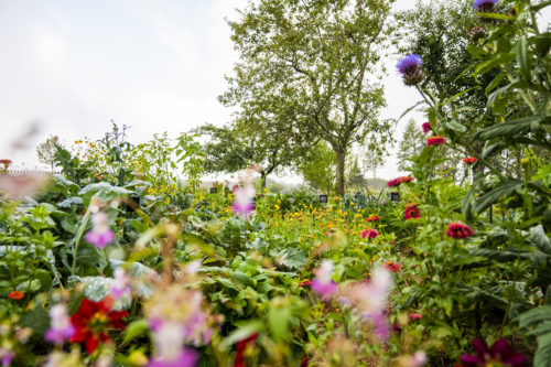 Jardin de recouvrance