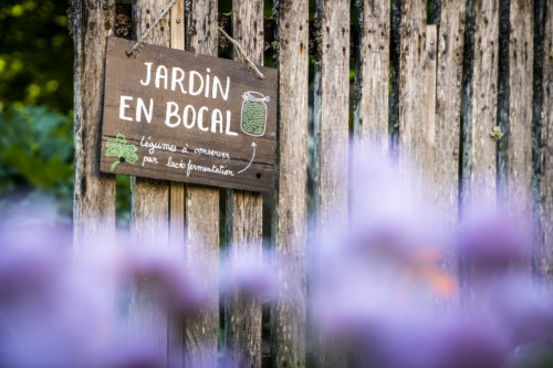 Garden in a jar