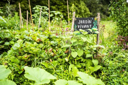 Lebendiger Garten