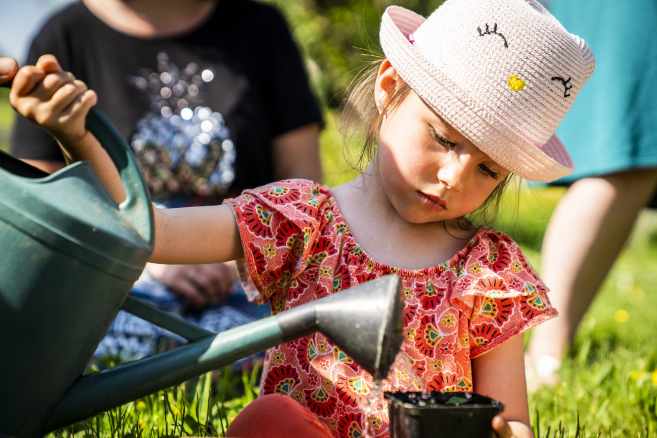 Gardening