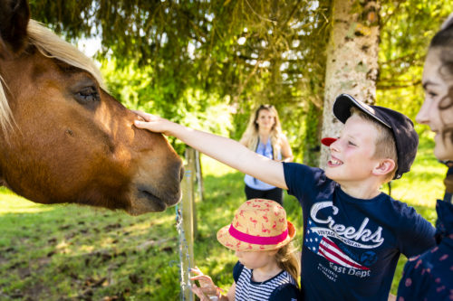 Nourrissage des animaux