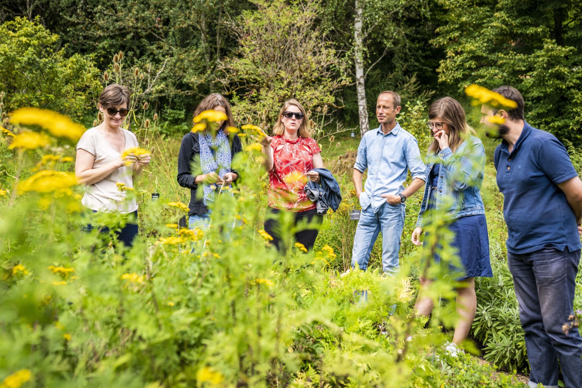 Visite guidée des jardins