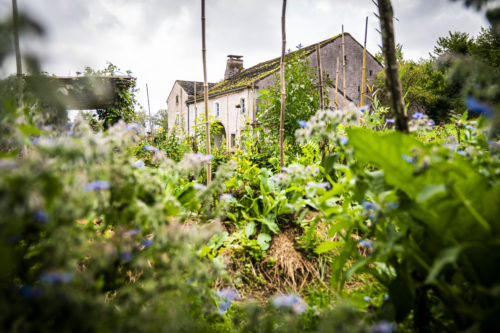 Butte de permaculture