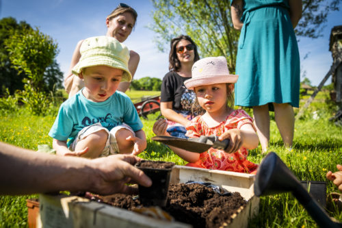 Gardening