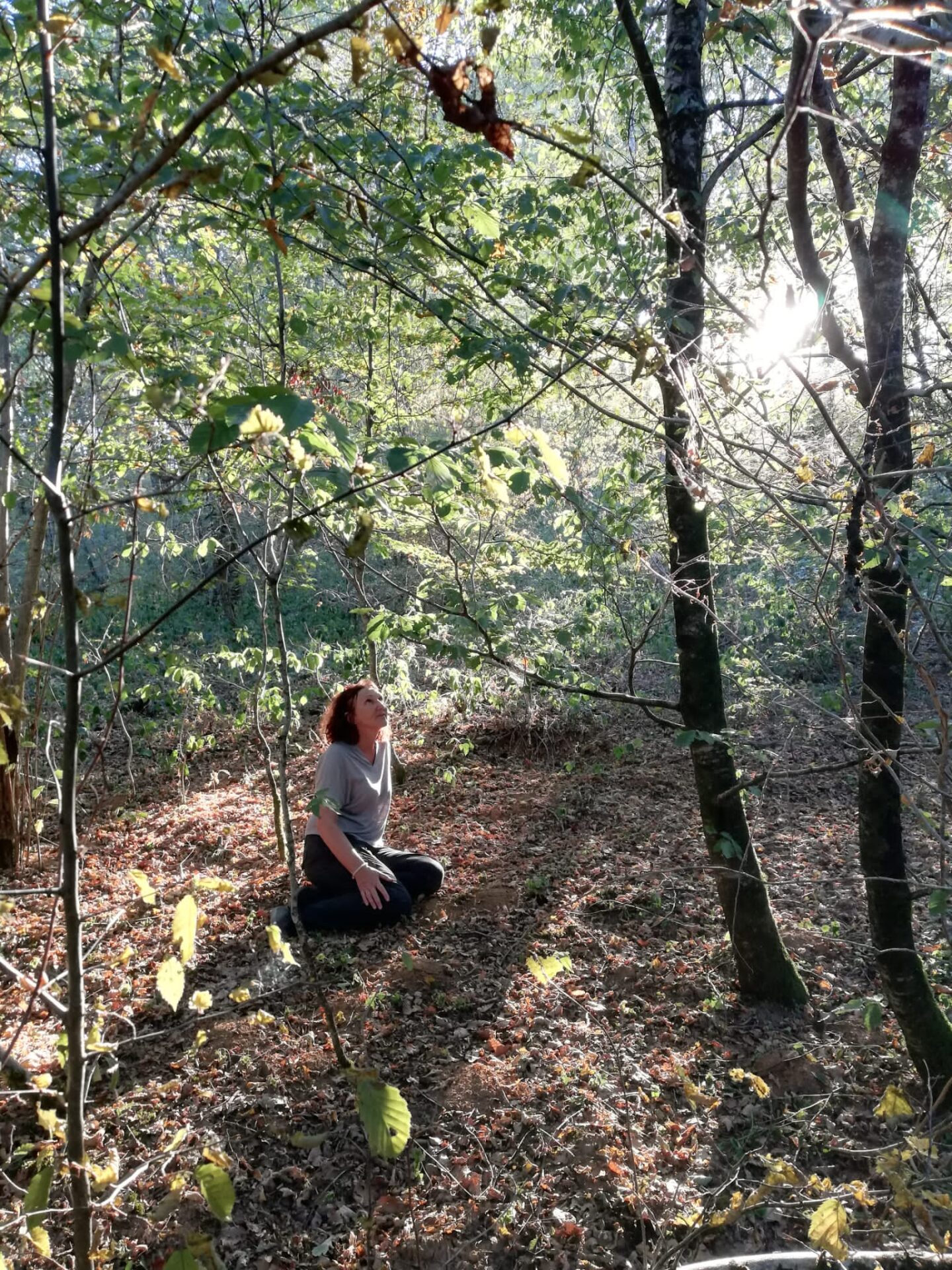 Balade sensorielle parmi les arbres avec Anne Sallé